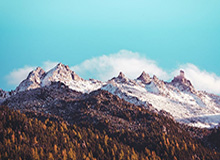 球迷社区-杨鸣：每场输球对我刺激都非常大，赢多了不适应输